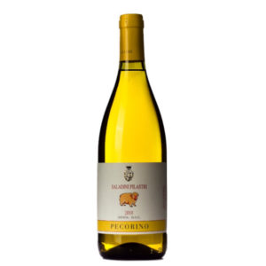 Saladini Pilastri Pecorino BIO vin italien blanc disponible sur le wineshop d'Histoire de Boire